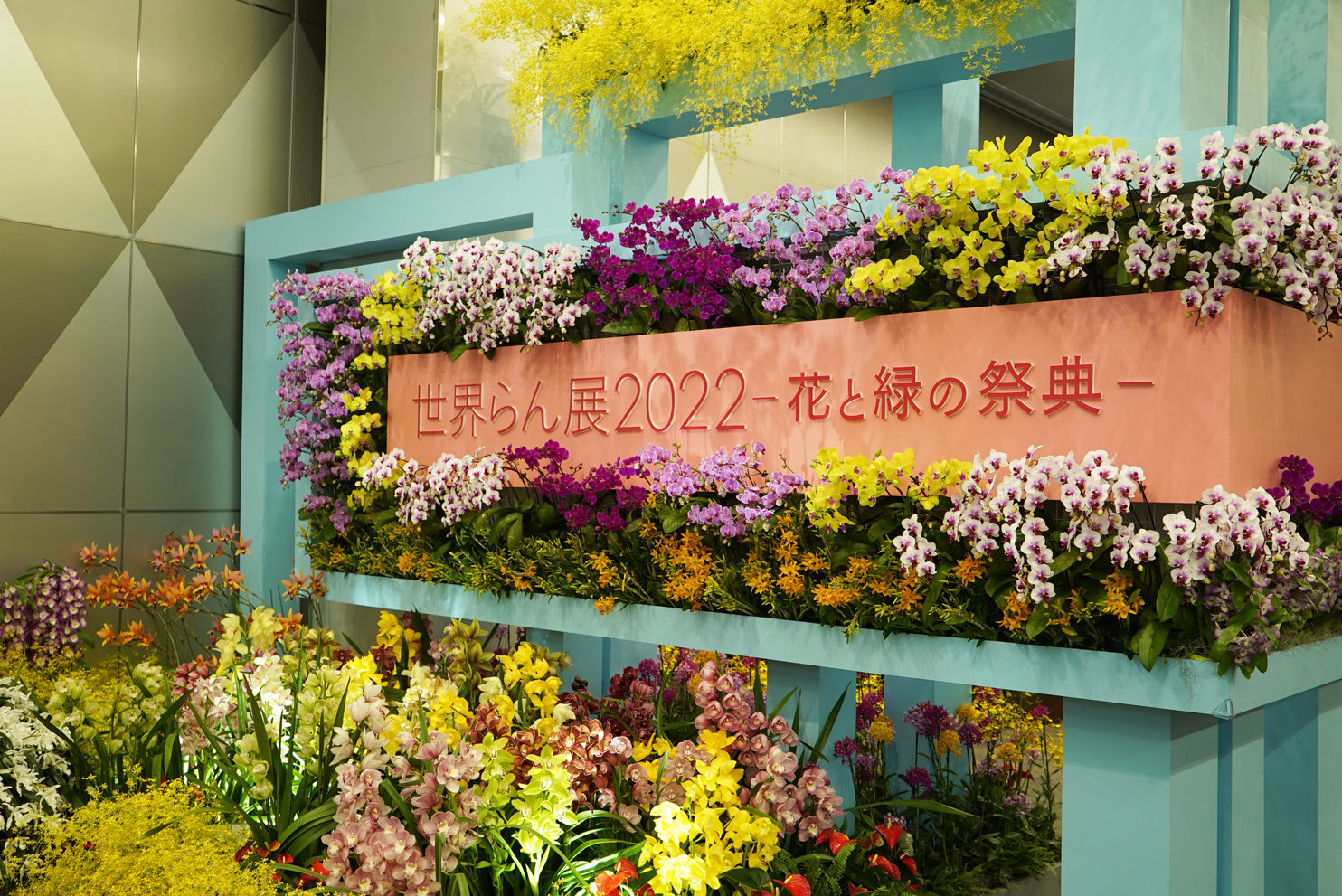 世界らん展2022－花と緑の祭典－